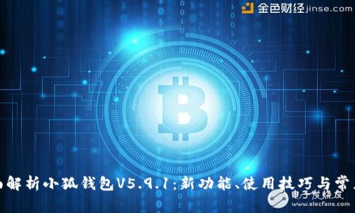 : 全面解析小狐钱包V5.9.1：新功能、使用技巧与常见问题