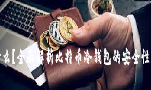 冷钱包是什么?全面解析比特币冷钱包的安全性与使用技巧