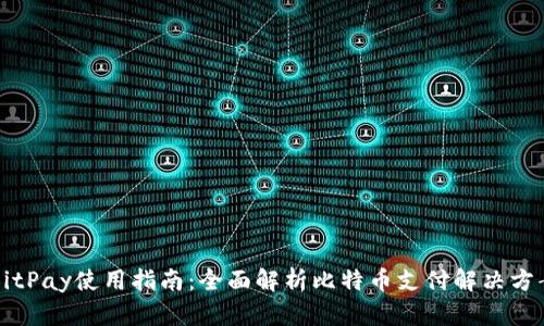 BitPay使用指南:全面解析比特币支付解决方案