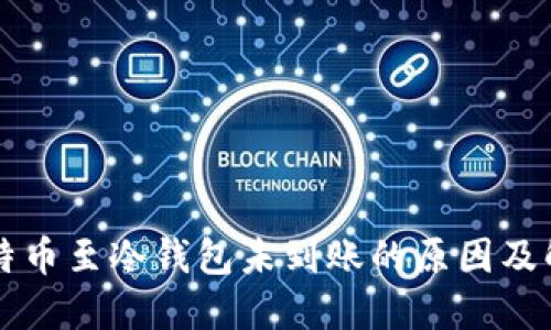 转账比特币至冷钱包未到账的原因及解决方案
