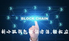 : 全方位解析小狐钱包解锁方法，轻松应对各类问