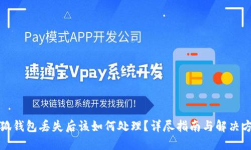 小狐钱包丢失后该如何处理?详尽指南与解决方案