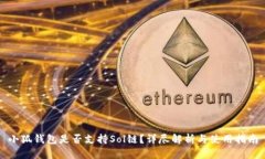 小狐钱包是否支持Sol链？详尽解析与使用指南