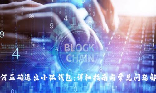 如何正确退出小狐钱包：详细指南与常见问题解答