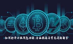如何打开小狐钱包功能：全面指南与常见问题解
