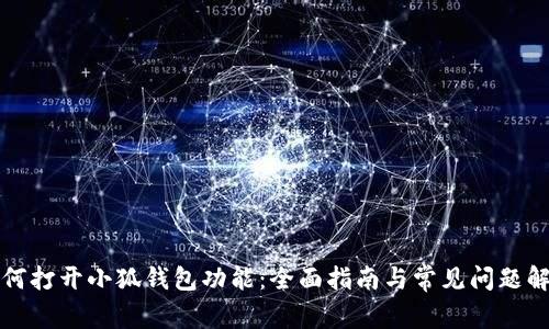 如何打开小狐钱包功能：全面指南与常见问题解答