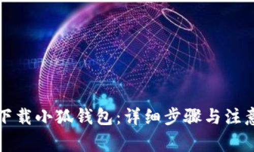 如何下载小狐钱包：详细步骤与注意事项