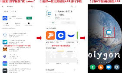 深入了解Polygon钱包:什么是Polygon钱包及其功能