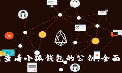 如何查看小狐钱包的公钥：全面指南