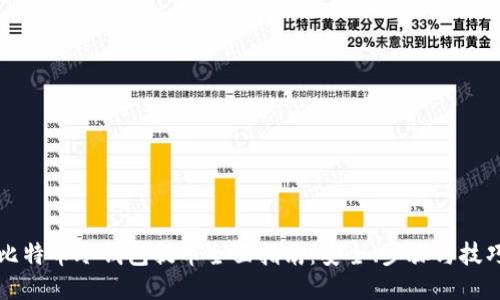 比特币冷钱包提币全面指南：安全、步骤与技巧