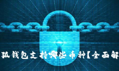 小狐钱包支持哪些币种?全面解析