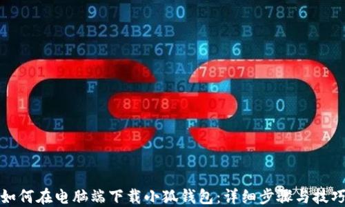 如何在电脑端下载小狐钱包:详细步骤与技巧
