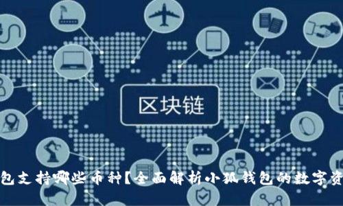 小狐钱包支持哪些币种?全面解析小狐钱包的数字资产管理