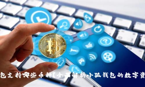 小狐钱包支持哪些币种?全面解析小狐钱包的数字资产管理