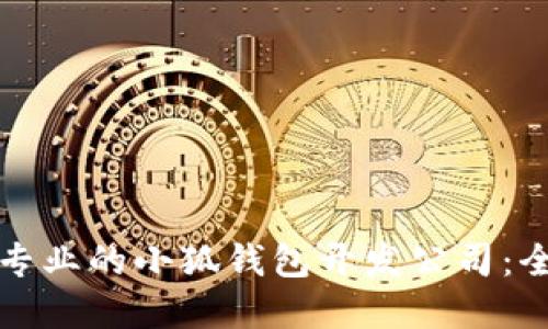 如何选择专业的小狐钱包开发公司:全方位指南