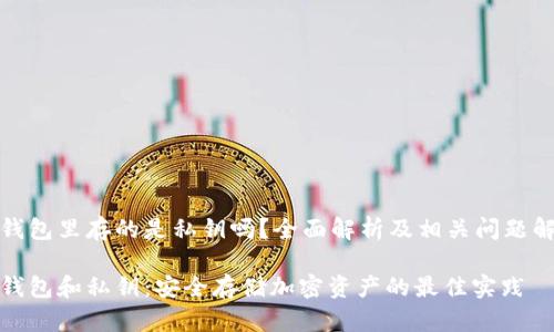 冷钱包里存的是私钥吗？全面解析及相关问题解答

冷钱包和私钥：安全存储加密资产的最佳实践