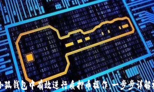 如何在小狐钱包中有效进行质押币操作:一步步详解视频指南