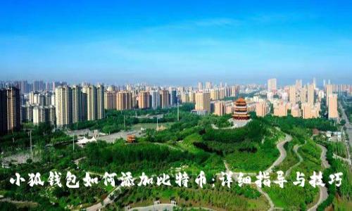 小狐钱包如何添加比特币：详细指导与技巧