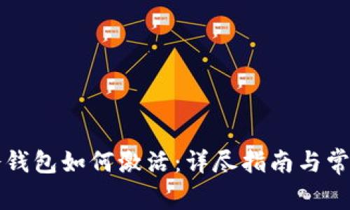 Revalink冷钱包如何激活：详尽指南与常见问题解析