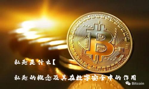 私匙是什么?
私匙的概念及其在数字安全中的作用