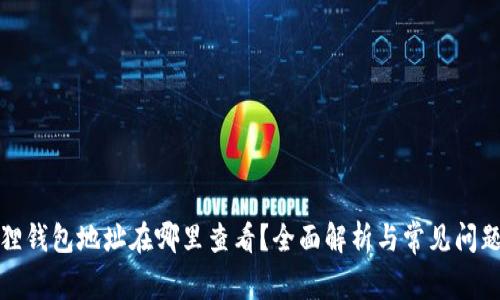 小狐狸钱包地址在哪里查看?全面解析与常见问题解答