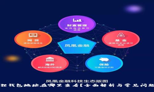 小狐狸钱包地址在哪里查看?全面解析与常见问题解答