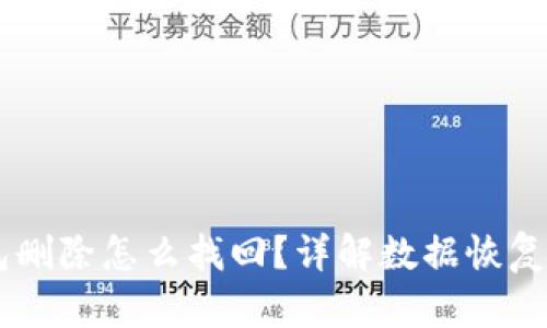 BITPIE钱包删除怎么找回?详解数据恢复与防损方法