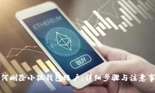 如何删除小狐钱包账户:详细步骤与注意事项