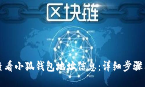 如何查看小狐钱包地址信息：详细步骤与指南