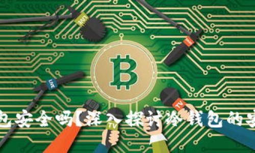 比特币放在冷钱包安全吗?深入探讨冷钱包的安全性与使用技巧