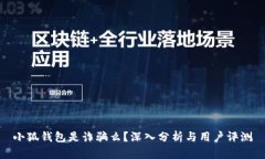 小狐钱包是诈骗么？深入分析与用户评测