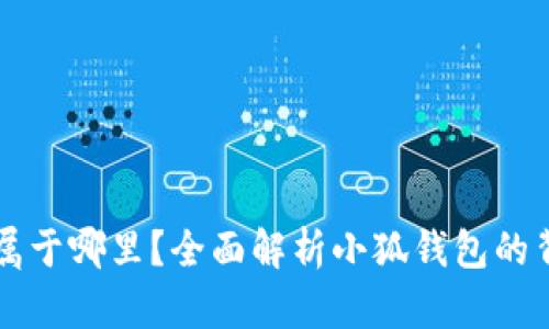 小狐钱包属于哪里?全面解析小狐钱包的背景与特色