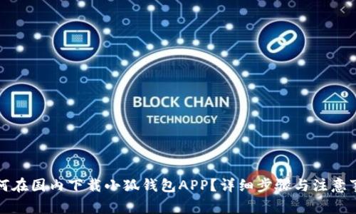 如何在国内下载小狐钱包APP?详细步骤与注意事项