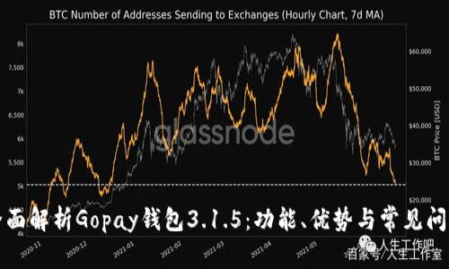 全面解析Gopay钱包3.1.5：功能、优势与常见问题