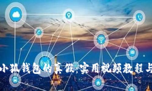 如何辨别小狐钱包的真假：实用视频教程与技巧分享