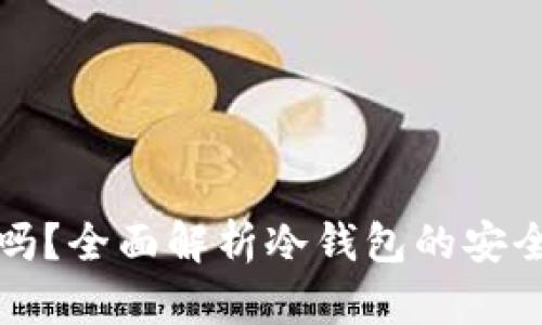 冷钱包最安全吗？全面解析冷钱包的安全性与使用方法