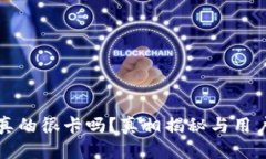 小狐钱包真的很卡吗？真相揭秘与用户反馈分析