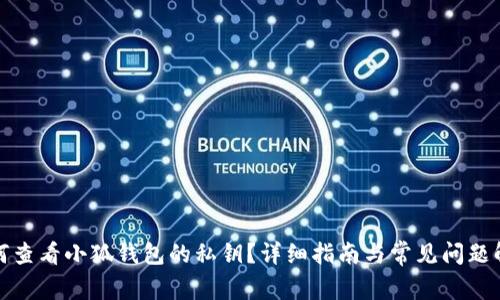 如何查看小狐钱包的私钥?详细指南与常见问题解答