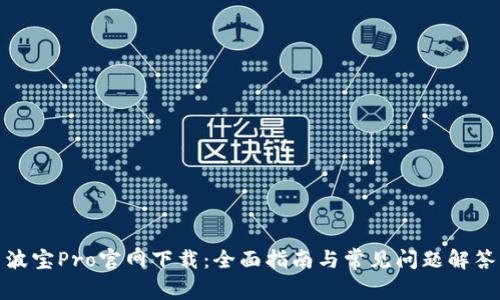 波宝Pro官网下载:全面指南与常见问题解答