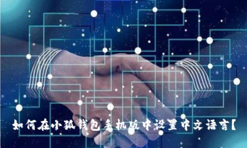 如何在小狐钱包手机版中设置中文语言?