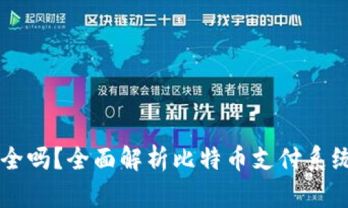 BitPay安全吗?全面解析比特币支付系统的安全性