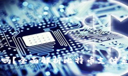 BitPay安全吗?全面解析比特币支付系统的安全性