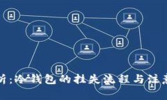 全解析:冷钱包的挂失流程与注意事项