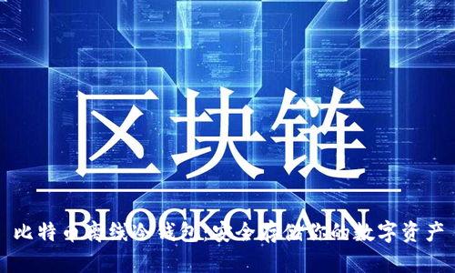 比特币离线冷钱包:安全存储你的数字资产