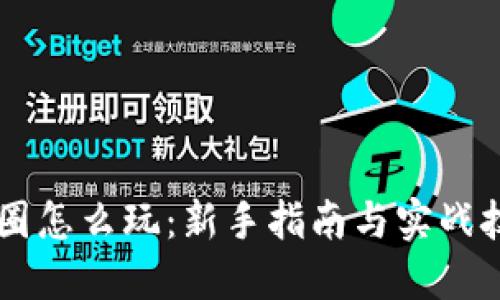 币圈怎么玩:新手指南与实战技巧