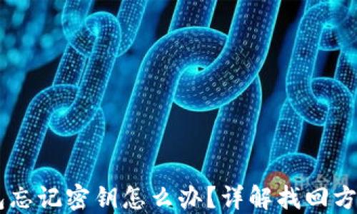 
手机小狐钱包忘记密钥怎么办？详解找回方法及安全提示