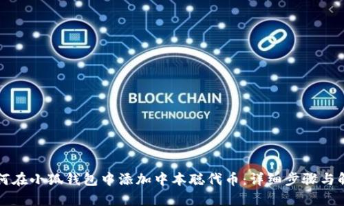 如何在小狐钱包中添加中本聪代币：详细步骤与解析