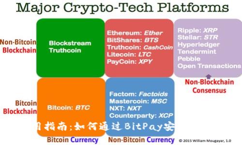 冷钱包使用指南:如何通过BitPay安全存储数字资产