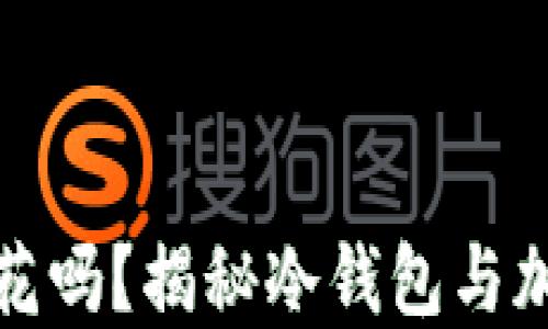 冷钱包的钱能花吗?揭秘冷钱包与加密资产的秘密