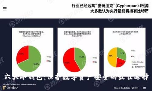 六大冷钱包:保护数字资产安全的最佳选择